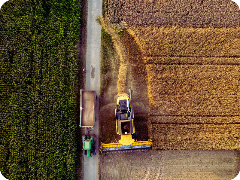 Process field